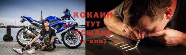 шишки Арсеньев