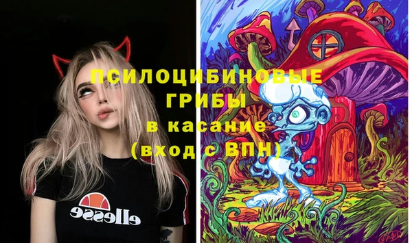 мяу мяу мука Аркадак